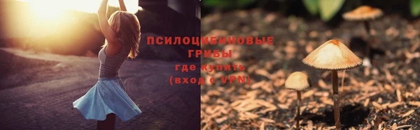 спиды Волосово