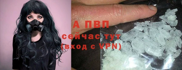 спиды Волосово