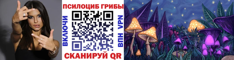 Галлюциногенные грибы Psilocybine cubensis  Ирбит 